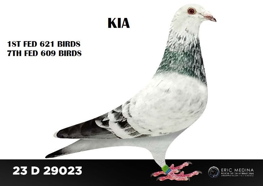 23 D 29023 12 11 25a