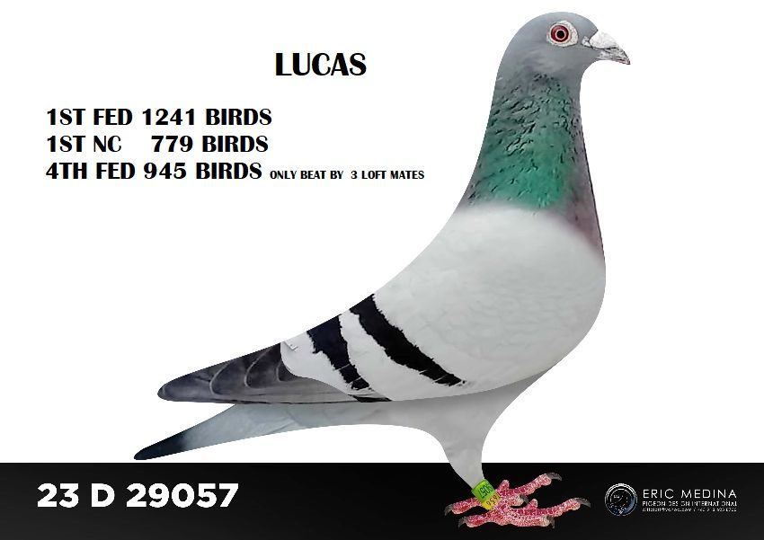 23 D 29057 12 11 25a