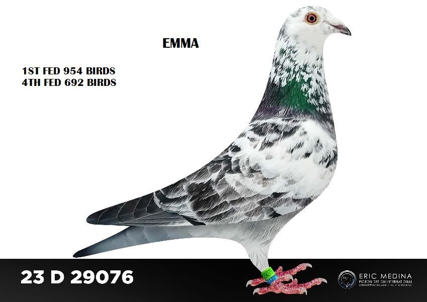 23 D 29076 12 11 25a