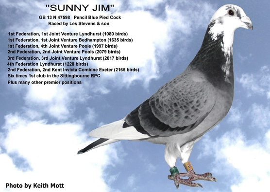 99E SUNNY BOY 07 11 25