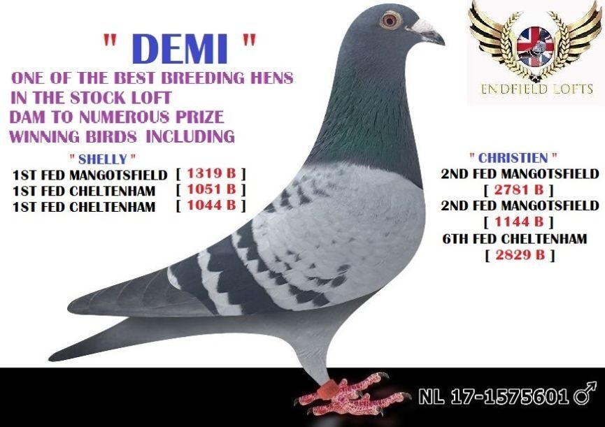 DEMI 12 11 25a