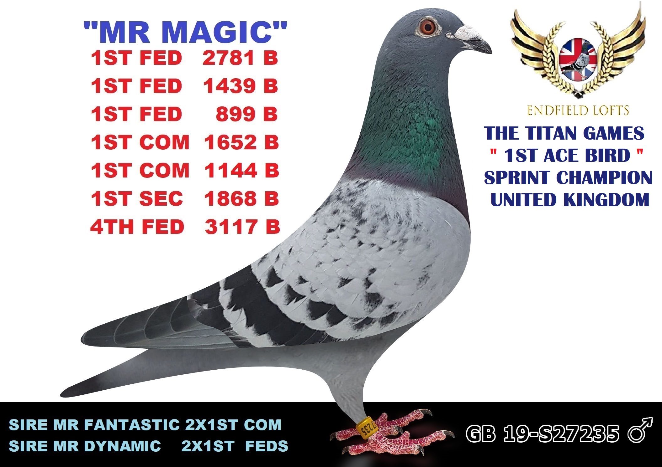 MR MAGIC 12 11 25a