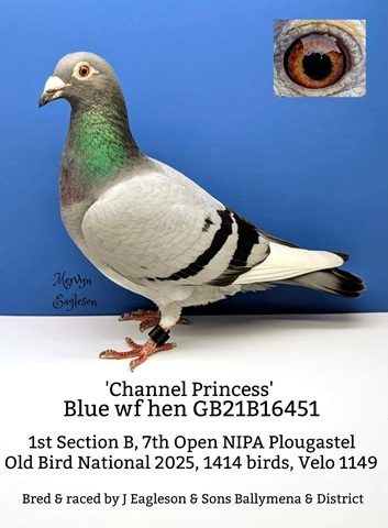 Channel Princess 10 12 25b