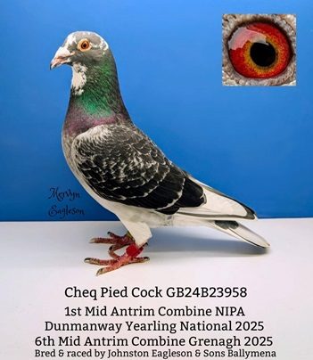Ch Pd Eagleson 1st Ylr Nat 27 01 26a