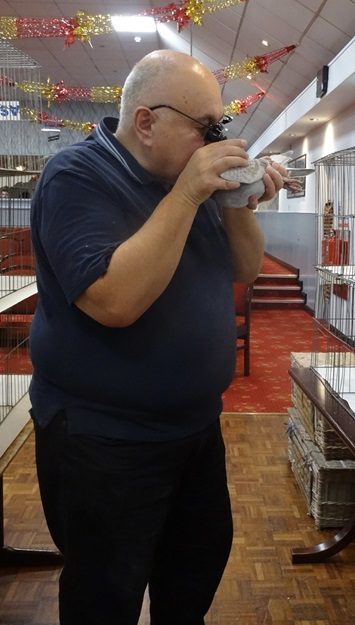 John Wheatcroft judging the Eye Sign class. 03 01 26b