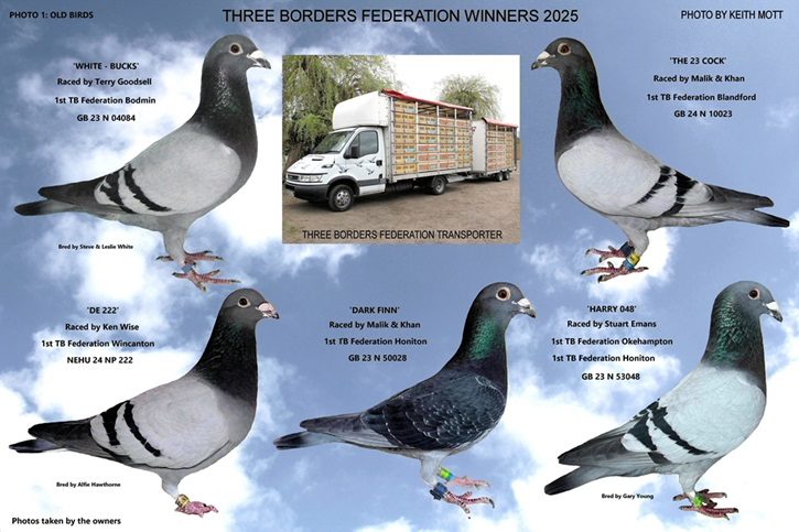 Z203 FEDERATION WINNERS 2025 03 01 26a