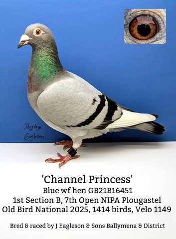 channel princess eagleson 27 01 26a