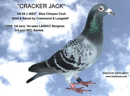 99D CRACKER JACK 20 01 25A