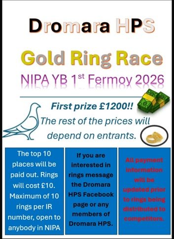 Dromara H.P.S. Gold Ring 2026 16 02 26a