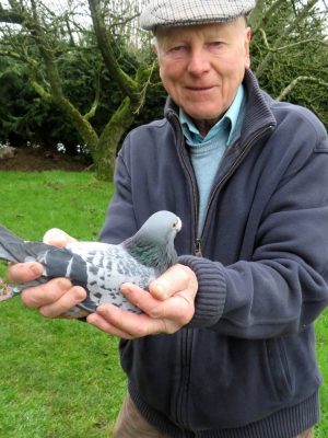 J Waring Son. 09 02 26a