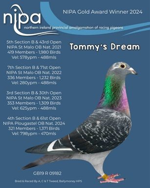 tommys dream 768x960 03 02 26