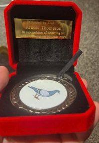 A. Thomspon EAA Plougastel Winner 27 02 26c