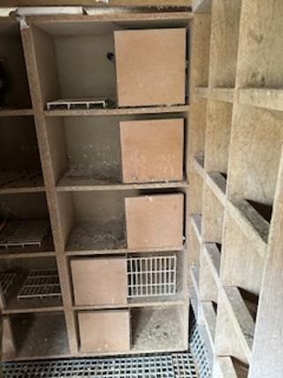 Boxes in smaller loft Billy McCudden 10 03 26b