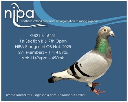 Eagle 1st Sect B OBN 10 03 26a