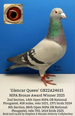 Glencar Queen 10 03 26a