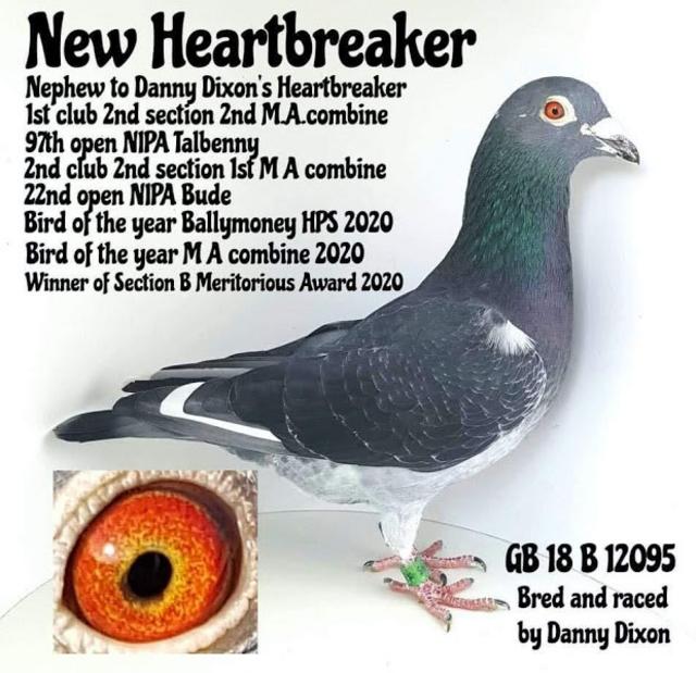 newheartbreaker