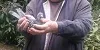 tonyholker3 19 07 21