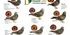 IMG 20230714 WA0014