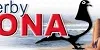 BANNER 05 01 22