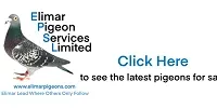 Elimar 2021 Small Website Link Logo