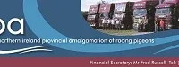 NIPA Banner