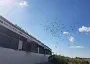 Derby Costa del Sol 2026