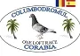 Derby Corabia Summer Race 2026