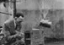 WW2 Military Intelligence and the use of Pigeons