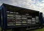 trans ready for berwick