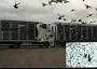 The two welsh NR Feds Quality Transporters