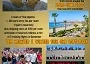 Copy of Remix Real Estate Showcase of Homes Made with PosterMyWall