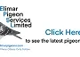 Elimar 2021 Small Website Link Logo