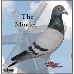 ** THE MINDER ** Sprint Cock ** Full brother won 1st Fed Warwick 2023 **