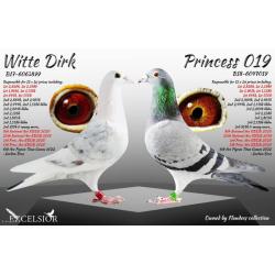 Stunning Red Grizzle Cock "ICE BLIZZARD 61" 25V18961 Wonderful Example of the Brilliant "BLIZZARD KING KITTEL" and "WITTE DIRK"